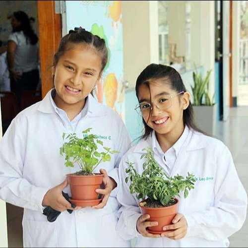 EDUCACIÓN primaria